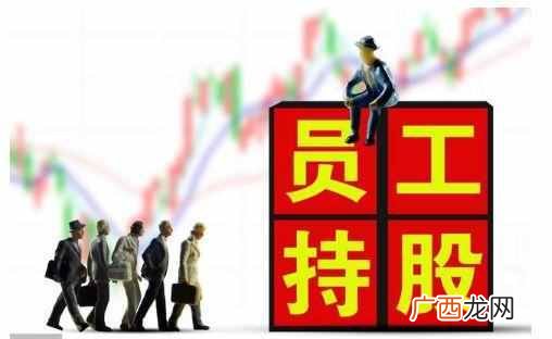 股权激励什么意思，股权激励是不是利好
