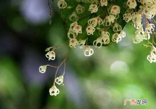 韬光养晦是什么意思是什么，隐藏自己的才华等待时机复出
