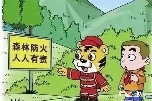 希腊山火失控天空被火光映红野外用火安全注意事项