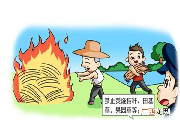 希腊山火失控天空被火光映红野外用火安全注意事项