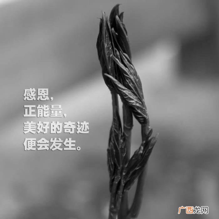 抑郁症康复过程中的10句话 让人想哭的抑郁症说说