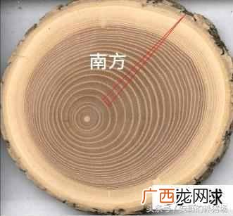 东南西北怎么分方向图，最简单辨别东南西北