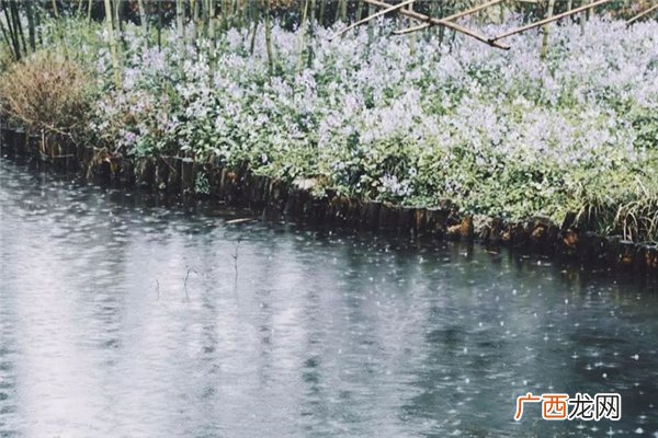 湖北多地遭遇特大暴雨特大暴雨有多大