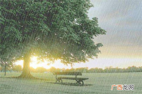 湖北多地遭遇特大暴雨特大暴雨有多大
