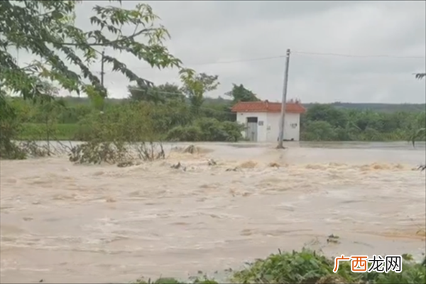 湖北多地遭遇特大暴雨特大暴雨有多大