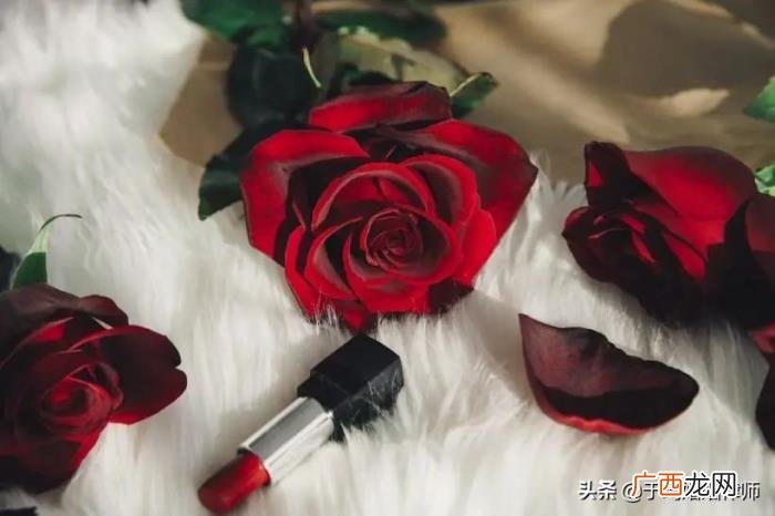 老公出轨我不想离婚 男人出轨认错书