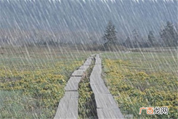 暴雨中的柳林镇为何成重灾区暴雨一般发生在什么季节