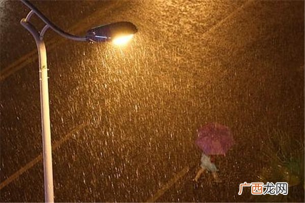 暴雨突袭湖北柳林一家5口家中遇难暴雨有多大的雨