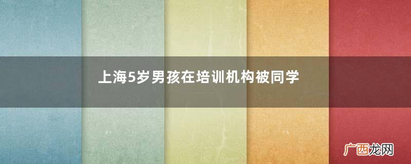 上海5岁男孩在培训机构被同学殴打孩子被打家长怎么处理