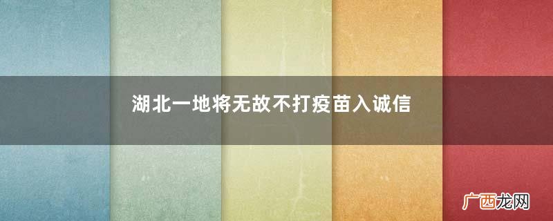 湖北一地将无故不打疫苗入诚信记录不打新冠疫苗会有什么后果
