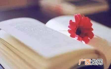 人无完人是什么意思，人无完人真正的意思