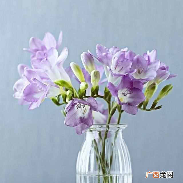 人无完人是什么意思，人无完人真正的意思