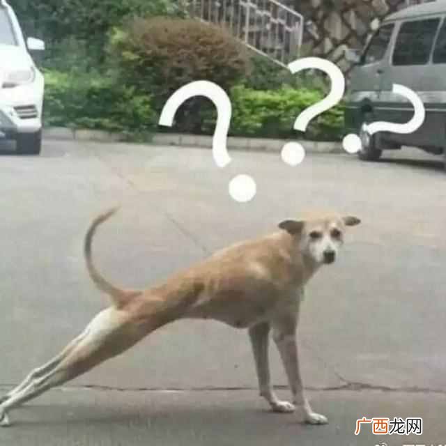 拉伸运动有哪些，看一下下面的18个拉伸动作