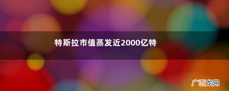 特斯拉市值蒸发近2000亿特斯拉是哪个国的车