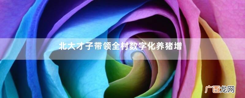 北大才子带领全村数字化养猪增收10倍中国猪场养猪新技术的应用