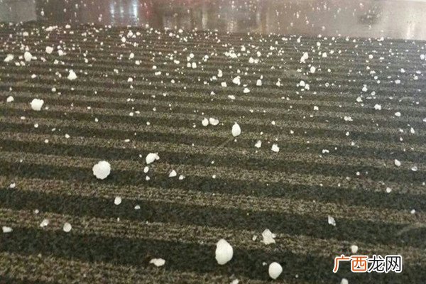 黑龙江哈尔滨大庆突降冰雹户外突遇冰雹如何自救