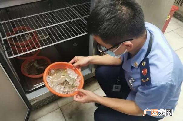 胖哥俩在执法人员检查前丢弃食材吃死螃蟹有什么危害