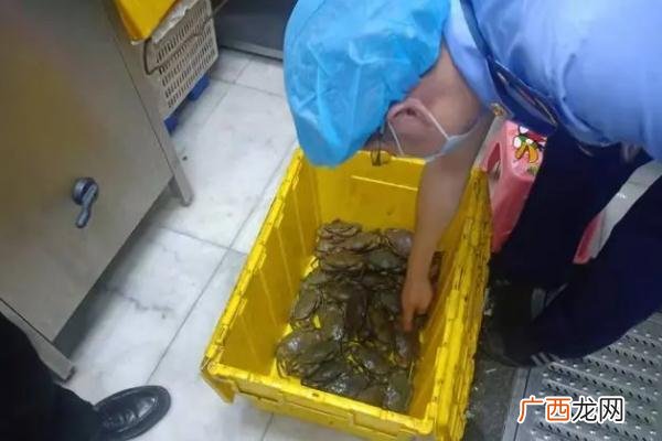 胖哥俩在执法人员检查前丢弃食材吃死螃蟹有什么危害