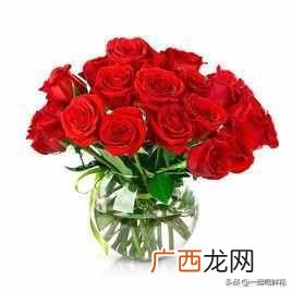 红色玫瑰花语,爱情之中红玫瑰可是起着举足轻重的作用