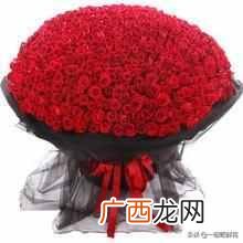 红色玫瑰花语,爱情之中红玫瑰可是起着举足轻重的作用