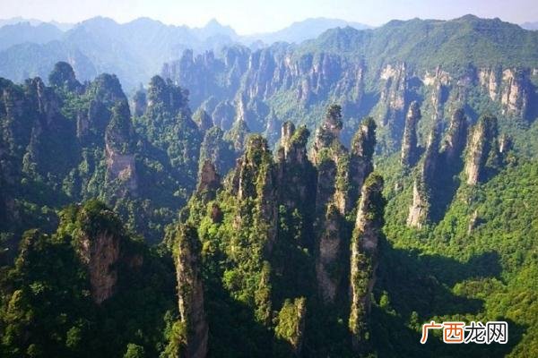 张家界A级景区门票向全国游客半价张家界景区有哪些景点