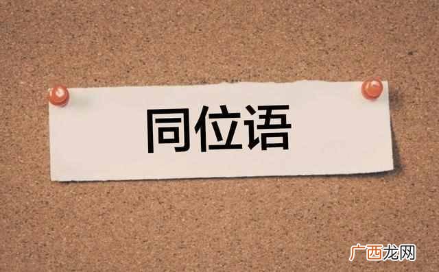 同位语,什么叫同位语