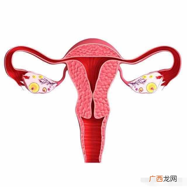生男孩的有效方法,民间也流传着很多有关于生男生女的秘诀