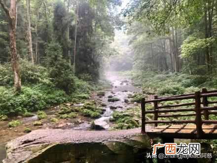 张家界旅游地点,张家界具体景点介绍