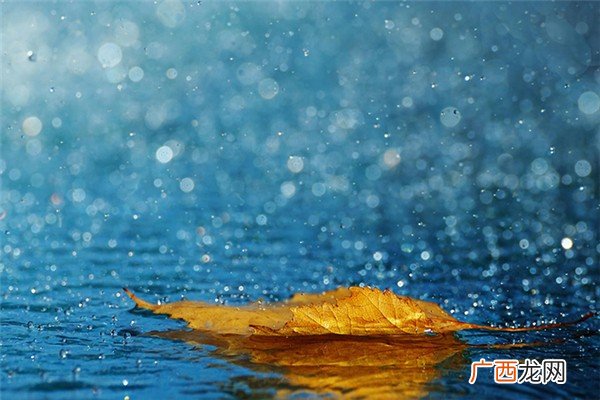 洛阳一小区围墙因暴雨发生坍塌暴雨会毁坏房子吗