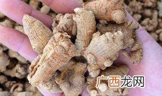 三伏天能不能吃三七 三伏天能喝三七粉吗