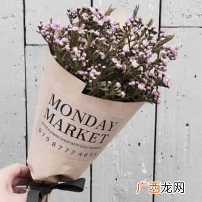 英文经典句子简短,英语简短的经典名句