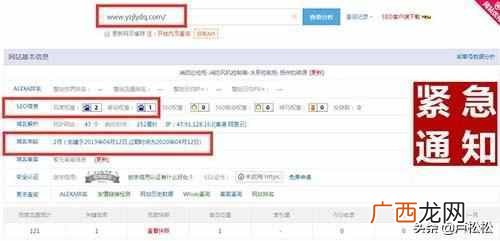 seo经验分享,SEO快排实操流程经验分享