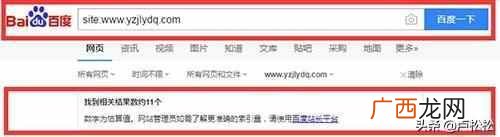 seo经验分享,SEO快排实操流程经验分享