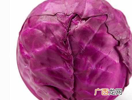甘蓝的功效与作用,甘蓝是什么东西