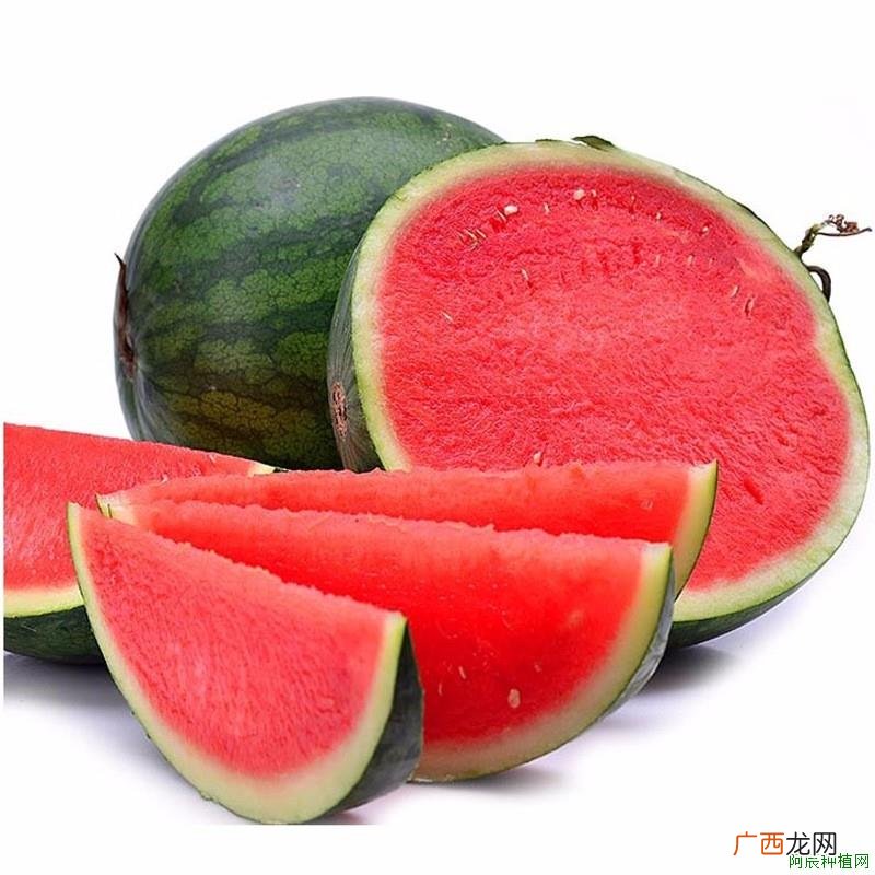 香蕉枯萎病怎么防治效果好？不可不知