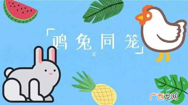 鸡兔同笼的教学方法设计,鸡兔同笼的13种方法
