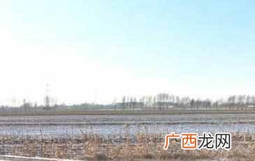 第一产业包括哪些,一二三产业是什么