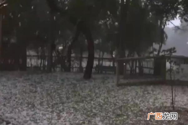 下雪天气要注意什么赤道附近的喀麦隆下雪了