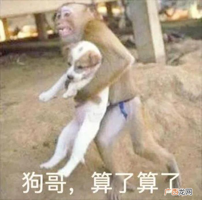 女朋友生气一句话哄好，女朋友生气了用这句话安慰