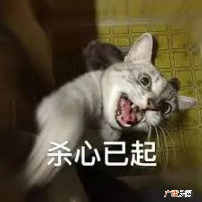 女朋友生气一句话哄好，女朋友生气了用这句话安慰