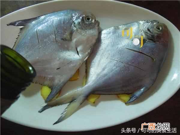 清蒸白鲳鱼做法,白鲳鱼的做法家常