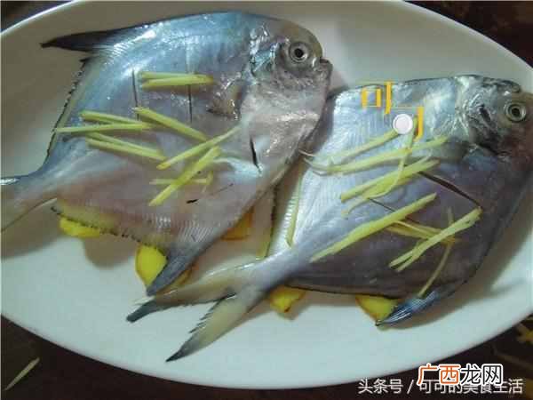 清蒸白鲳鱼做法,白鲳鱼的做法家常