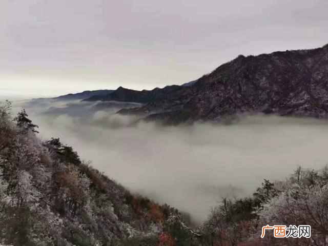 天麻种植方法,天麻种植方法及步骤