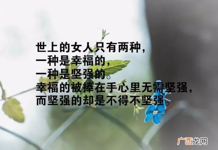 致自己很霸气的励志短句子 励志短句霸气致自己