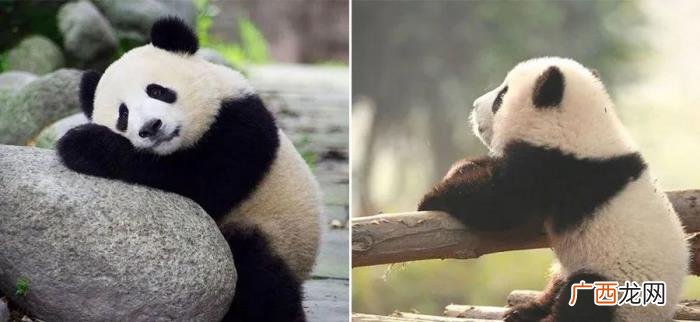 创意儿童画教程｜好想出去玩呀 好想出去玩的图片