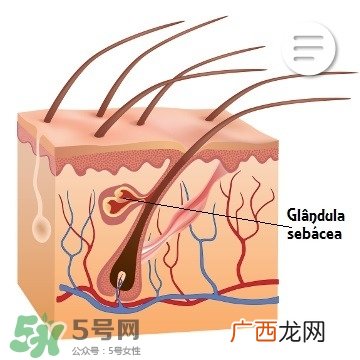 肌肤屏障受损怎么修复 强化皮肤屏障思路