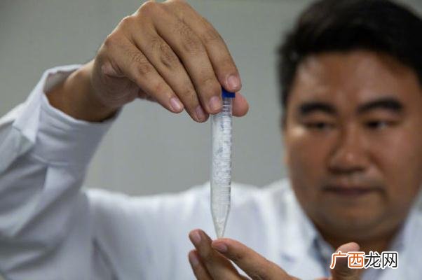 淀粉和生粉一样吗淀粉和生粉有什么区别