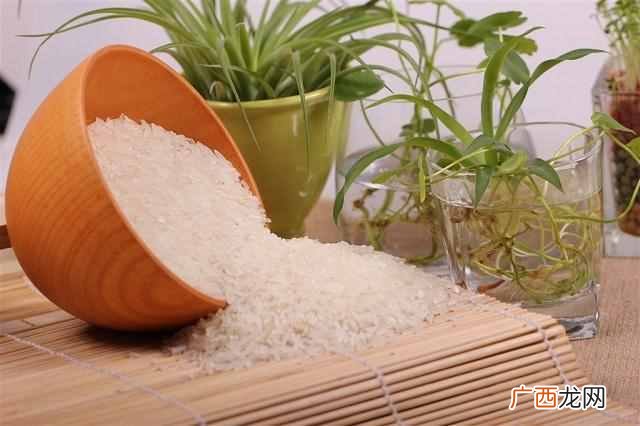 粳米的功效与作用,大米是我国常见的主食选购大米建议