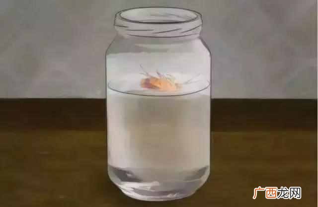 除蟑螂最有效的方法,如何彻底消灭蟑螂