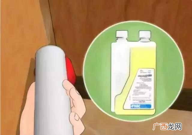 除蟑螂最有效的方法,如何彻底消灭蟑螂